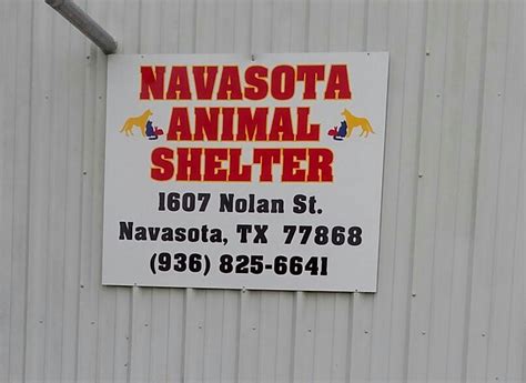 navasota animal shelter navasota tx